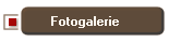 Fotogalerie